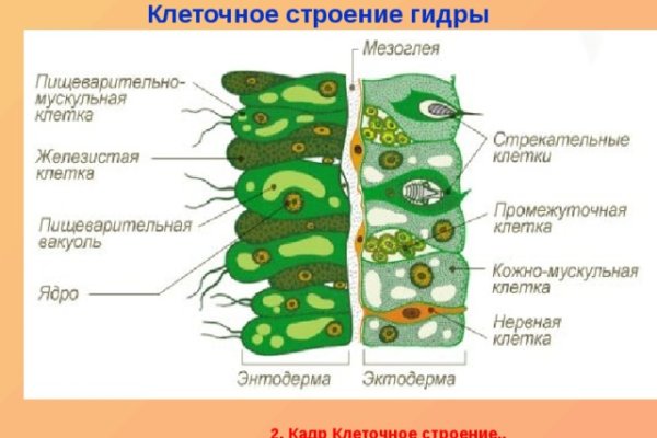 Kraken даркнет рынок