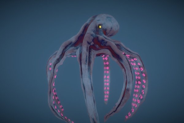 Kraken platform